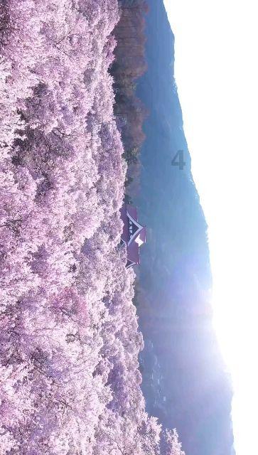 弹珠泡泡龙