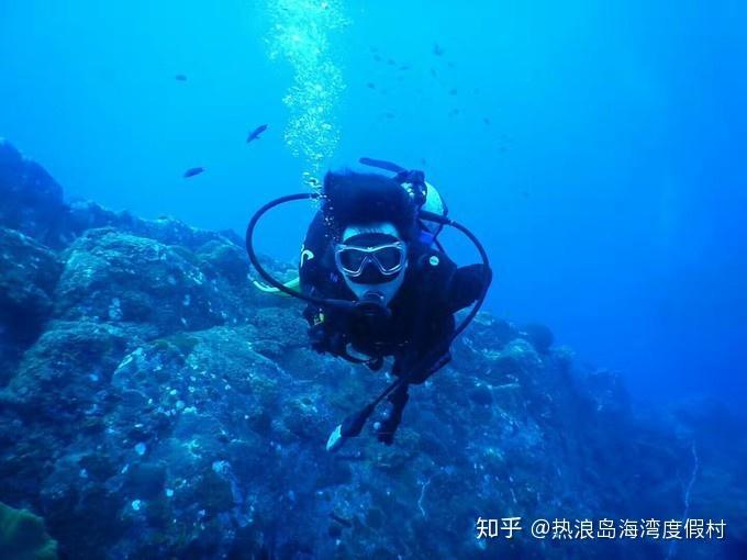 独步竹林